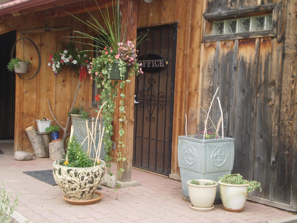 Silver River Adobe Inn Bed And Breakfast Φάρμινγκτον Εξωτερικό φωτογραφία