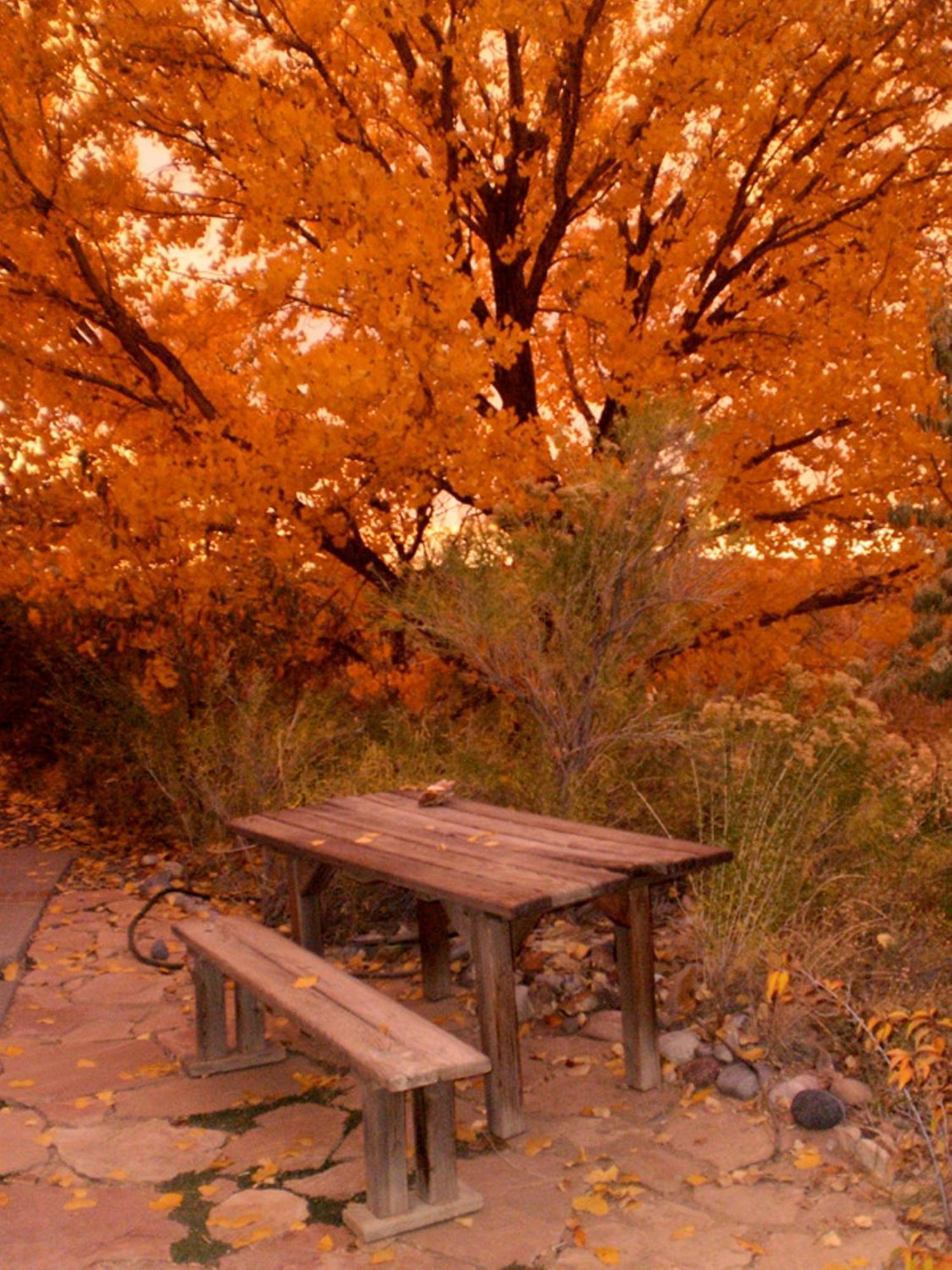 Silver River Adobe Inn Bed And Breakfast Φάρμινγκτον Εξωτερικό φωτογραφία