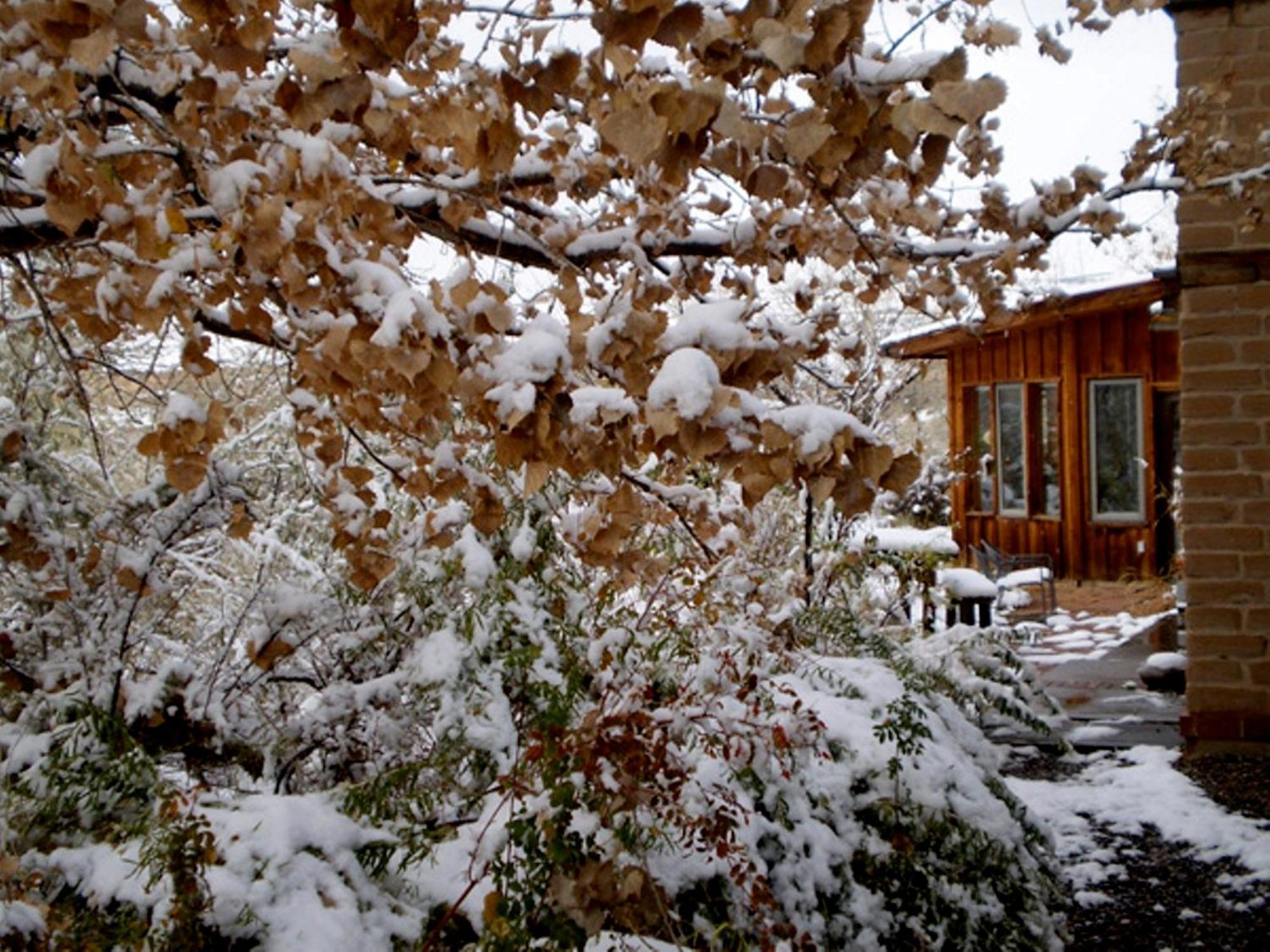 Silver River Adobe Inn Bed And Breakfast Φάρμινγκτον Εξωτερικό φωτογραφία